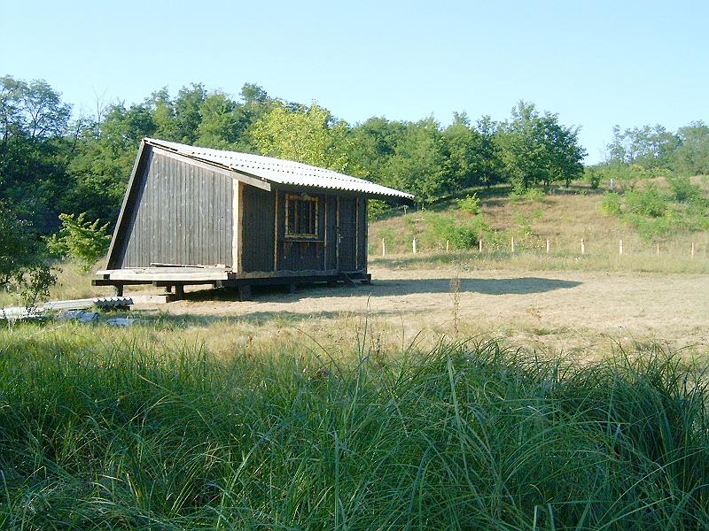 2009.08.21 028.jpg